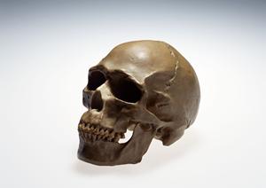 山科区の循環器内科徹底解説：2025年最新版の選び方とおすすめクリニック